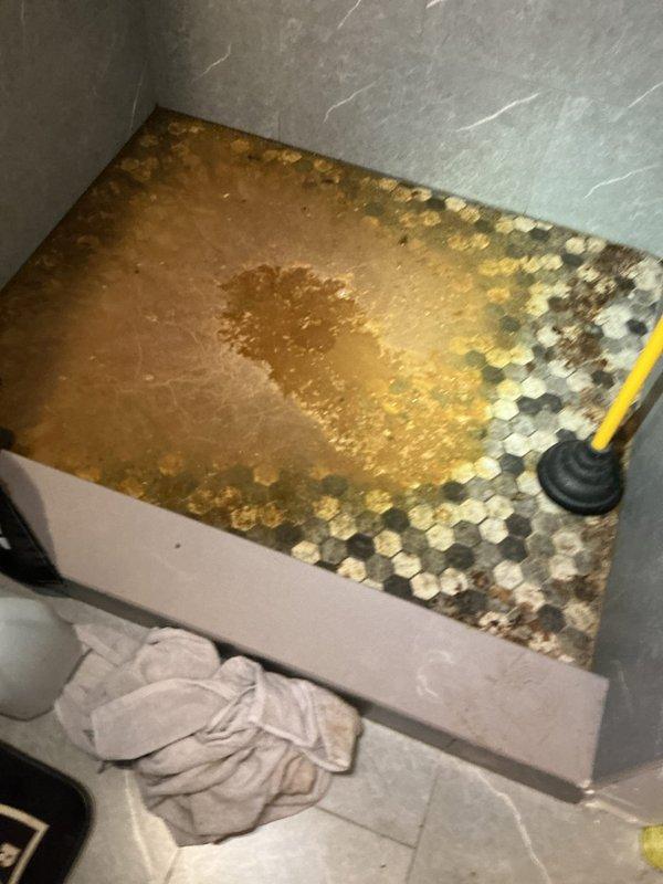Responded to emergency main drain backup affecting bathroom fixtures with standing water approximately 3 inches deep on floor and sewage backup into shower. Upon arrival, confirmed improper toilet sizing for drainage system contributing to blockage that had persisted for 4-5 days. Performed main drain cleanout procedure to clear obstruction and restore proper flow through drainage system. Verified all fixtures draining properly after cleanout completion. Documented extensive water damage and staining to hexagonal tile flooring from prolonged sewage backup exposure.