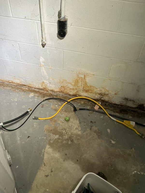 Disconnected flexible gas hose from dryer connection point and shut off gas supply valve to the appliance line. Removed the disconnected gas hose from the area and verified proper valve closure to ensure safe isolation of the gas line, leaving the capped supply line secured in the utility room.