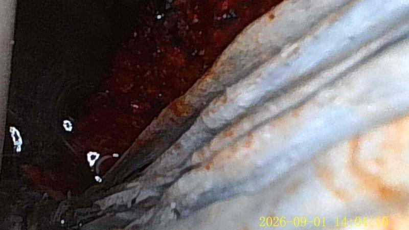 Performed comprehensive service on 12-year-old gas-fired hot water boiler. Conducted standard maintenance inspection, verified system operation as hot water heating unit, and documented equipment condition. Observed signs of age-related wear on piping components with minor corrosion present on corrugated condensate tubing, typical for equipment of this vintage.