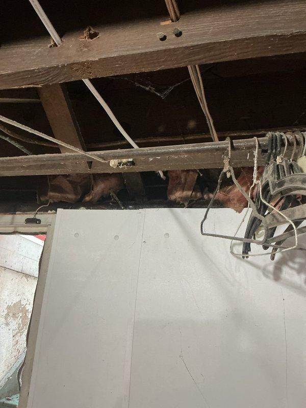 Installed new dedicated electrical circuit for downstairs bedroom, running 14-2 wiring through attic space and installing four receptacles throughout the room. Installed GFCI receptacle in adjacent bathroom for proper ground fault protection. Inspected ceiling fan per customer request and confirmed proper operation.