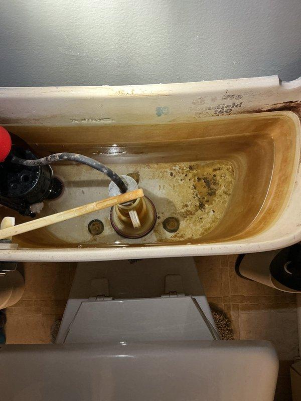 Responded to service call for broken toilet handle and flush mechanism on upstairs toilet. Upon arrival, removed tank lid and inspected internal components, identifying failed flush lever assembly. Replaced defective handle and flush mechanism with new hardware, ensuring proper connection to flapper valve. Tested flush operation multiple times to verify smooth handle action and complete bowl evacuation. System restored to full working order with no leaks detected.