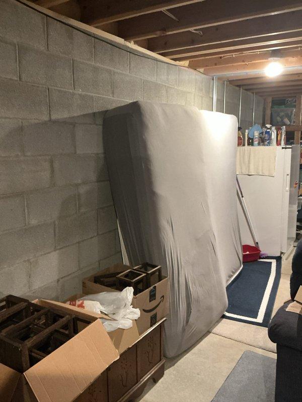 Installed two new electrical outlets in basement area and added ceiling-mounted light fixture with proper circuit connections. All work completed to code with circuits properly integrated into existing electrical panel.