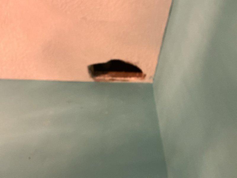 Responded to water leak in master bathroom caused by failed PVC elbow fitting in ceiling. Performed access opening at wall-ceiling junction to expose damaged plumbing connection. Documented existing conditions showing compromised PVC joint and water damage to surrounding drywall and ceiling materials. Provided estimate for replacement of defective elbow fitting and restoration of affected ceiling area.