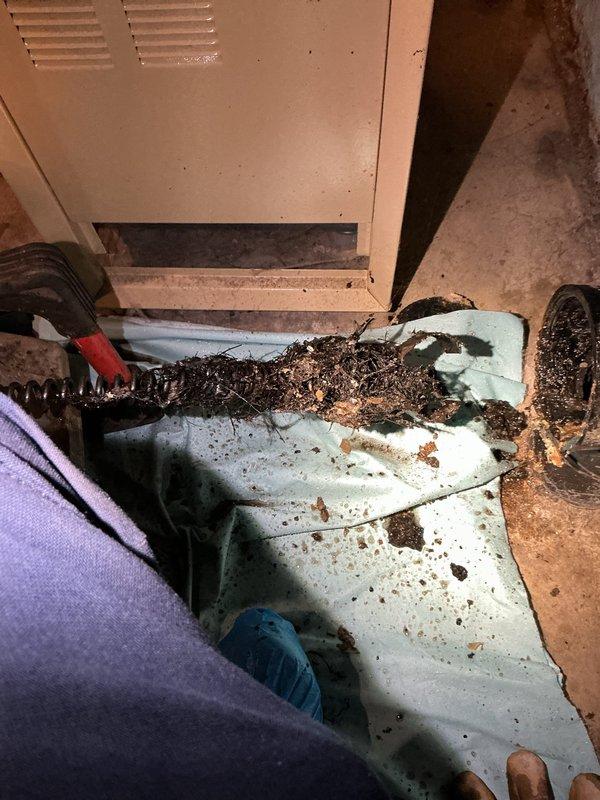 Responded to main sewer line blockage and performed snaking service up to 80 feet to clear obstruction. Upon arrival, discovered severely deteriorated black plastic drainage pipe with significant structural damage, including a large broken section exposing the interior with visible corrosion and buildup around the edges. Successfully cleared the main sewer line using professional drain cleaning equipment, removing accumulated debris and restoring proper drainage flow to the system.