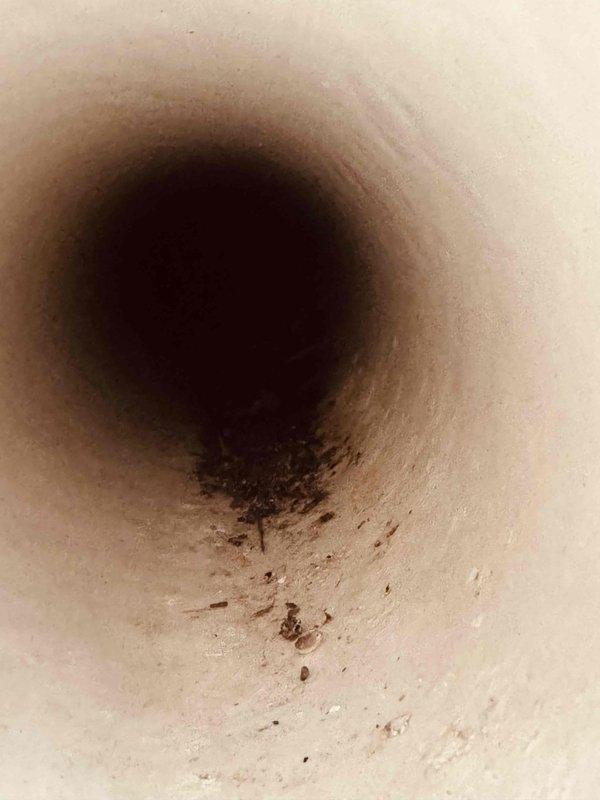 Responded to callback regarding open furnace exhaust pipe from previous year's installation. Upon arrival, discovered birds had built nest inside uncapped termination pipe. Removed nesting materials from exterior base of wall and cleared debris from pipe opening. Cleaned soot and heat staining around pipe penetration. Properly capped and sealed the exhaust termination to prevent future wildlife intrusion and ensure system operates safely per manufacturer specifications.