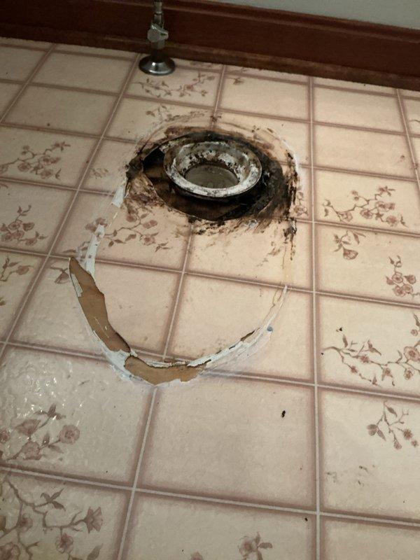 Replaced deteriorated toilet with new American Standard Champion model. Removed old fixture and addressed significant water damage around toilet flange, including stained flooring and compromised wax ring. Installed new toilet with proper sealing to prevent future leaks, ensuring secure mounting and proper function of all components.
