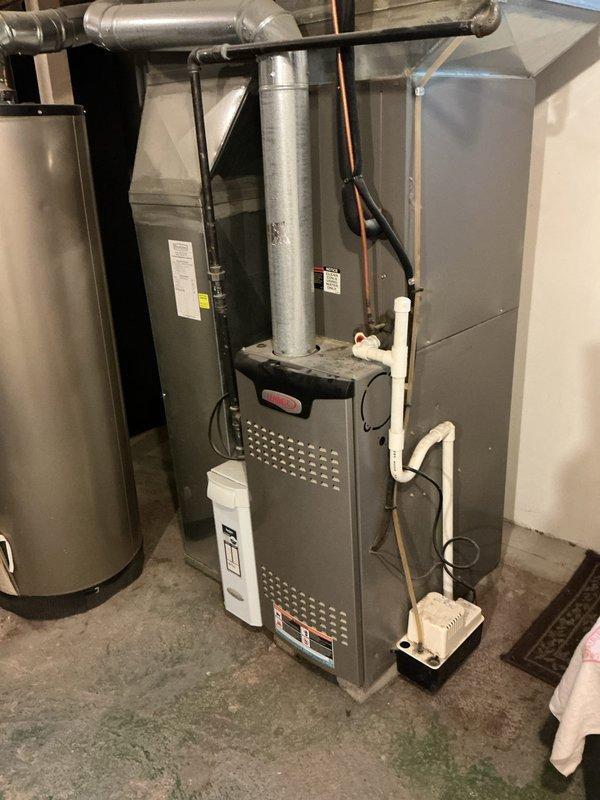 Completed annual heating maintenance and tune-up on residential gas furnace system. Performed comprehensive inspection of furnace cabinet, blower assembly, and control board components including ECN DRIVE-24VAC module with all electrical connections verified secure. All system components including humidifier, ductwork, and exhaust venting inspected and found operating within normal parameters with no deficiencies noted.