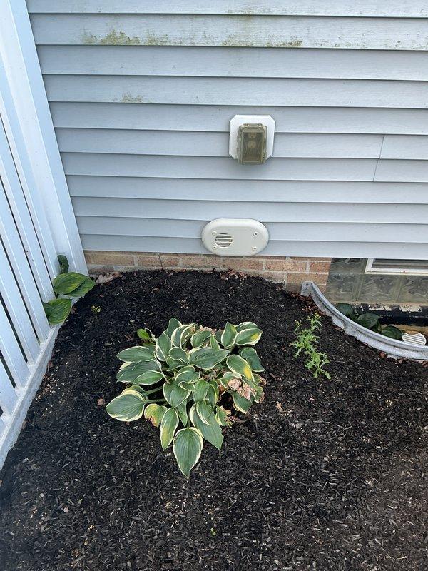 Completed replacement of two 90% AFUE furnaces at residential property. Both units were successfully installed with new exterior PVC intake and exhaust venting terminations visible on the home's exterior walls. All venting was properly sealed, secured, and positioned according to manufacturer specifications and local building codes to ensure safe operation and optimal efficiency.