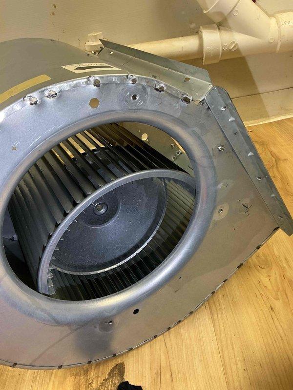 Removed and thoroughly cleaned blower wheel assembly heavily impacted with fine construction dust and debris from recent basement work. Contaminants posed risk of hardening if exposed to moisture and were causing reduced airflow and increased wear on furnace components. Also cleaned evaporator coil to remove similar fine particulate contamination throughout the system, restoring proper airflow and preventing potential equipment damage or failure.
