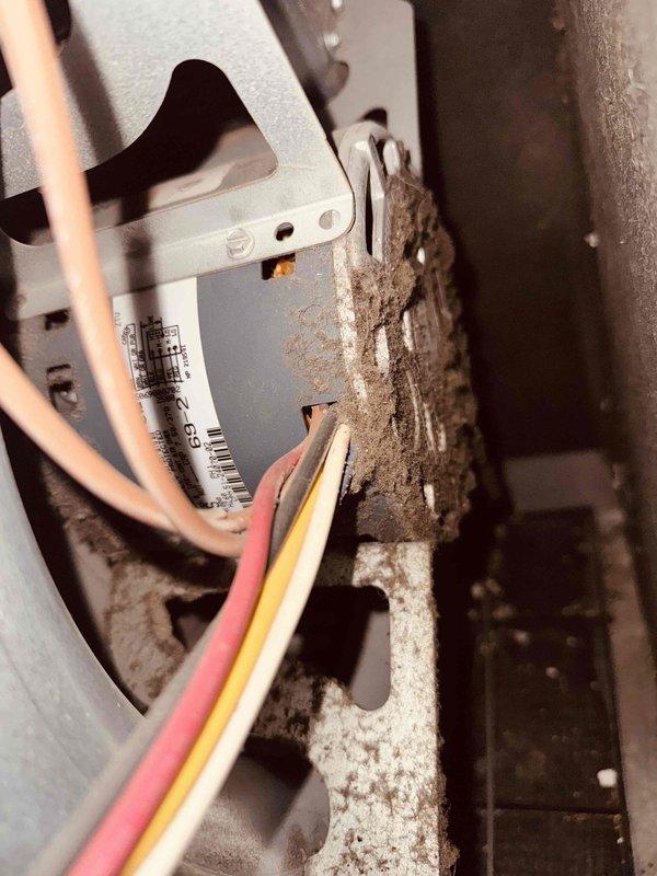 Responded to no-heat call on 15-year-old gas furnace with reported humming noise upon startup. Upon inspection, found extensive dirt and debris accumulation throughout the unit's interior components, including control module, blower compartment, and ductwork connections. The heavy buildup of dust and grime on electrical components and surrounding surfaces indicated prolonged operation without proper maintenance, which was contributing to operational issues. Assessed system condition, documented equipment state with photographs showing significant contamination on control boards and mechanical housing, and provided recommendations for thorough cleaning and maintenance to restore proper function and prevent future failures.