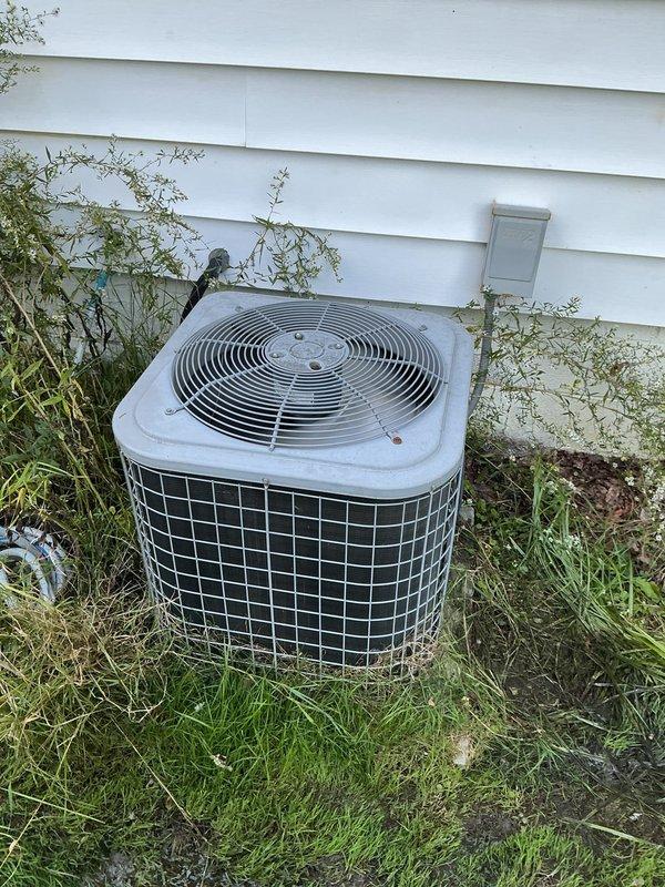 Completed comprehensive MVP Cool maintenance on an 18-year-old outdoor condensing unit. Performed standard preventive maintenance procedures including inspection of fan motor operation, electrical connections, and refrigerant lines. Unit showing age-appropriate wear with weathering on exterior housing and surrounding vegetation requiring clearance for proper airflow and accessibility during future service visits.