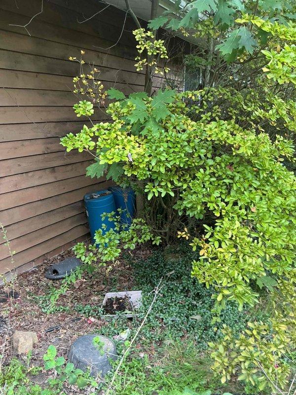 Completed electrical estimate for standby generator installation at residential property. Assessed exterior installation location on side of building, noting significant vegetation overgrowth that will require clearance to meet code requirements for generator placement and adequate ventilation. Evaluated existing electrical service in basement utility area, documenting current main electrical panel location and capacity. Photographed existing plumbing, ductwork, and mechanical systems to plan electrical routing from panel to exterior generator pad location. Provided customer with comprehensive estimate including equipment options and installation scope. Recommended vegetation removal and site preparation prior to installation to ensure proper clearances and accessibility for maintenance.
