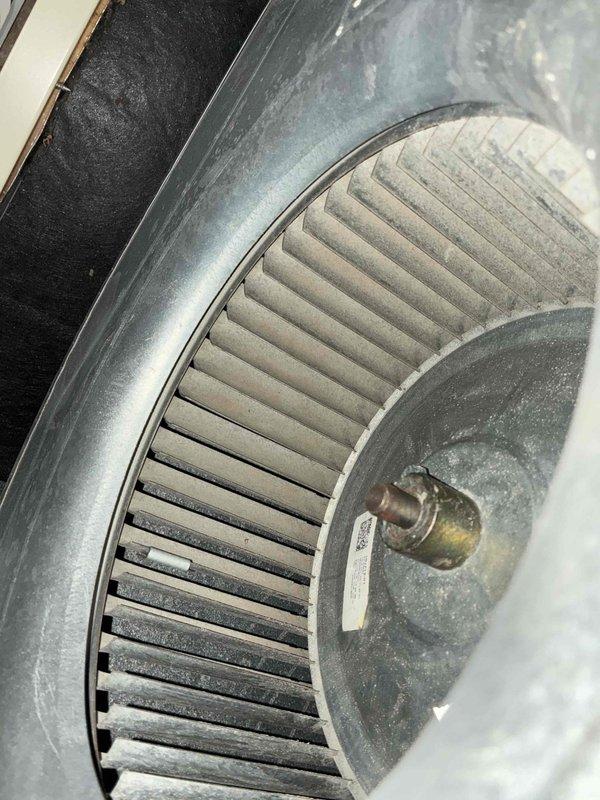 Completed comprehensive heating system maintenance inspection on HVAC unit. Thoroughly examined evaporator coil assembly, noting copper piping connections showing age-appropriate oxidation while aluminum fins remained in clean, serviceable condition. Inspected blower wheel assembly, documenting dust accumulation on blades and verifying proper mechanical operation of all components.