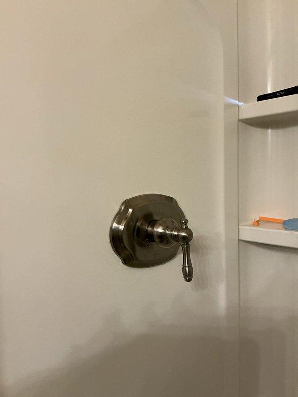 Responded to service call for leaking single-handle shower faucet. Accessed plumbing through wall panel to diagnose issue, identified worn cartridge causing water leak at valve body. Replaced defective cartridge, tested fixture operation to verify proper function and confirmed leak was eliminated.