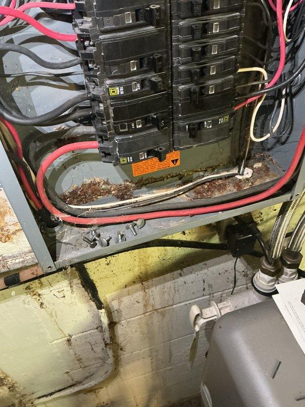 # Electrical Panel Service and Repair

Responded to customer complaint of intermittent dimming lights throughout the residence. Upon inspection, discovered significant debris accumulation and contamination within the main electrical service panel. The debris, appearing as granular brown material, had collected on the panel's bottom ledge and surrounding areas, indicating potential moisture intrusion or environmental contamination that could compromise electrical connections and performance.

Conducted comprehensive inspection of the main breaker assembly, including examination of all terminal connections, brass and silver lugs, and incoming service conductors. Verified integrity of main breaker mechanism and assessed condition of all branch circuit breakers in both vertical rows. Identified signs of age-related wear and discoloration on metal components throughout the panel.

Performed thorough cleaning of the electrical panel interior, removing all accumulated debris and contamination