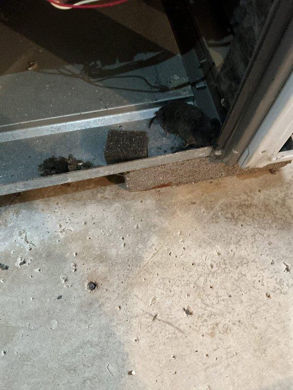 # No Heat Service Call - Lennox SL280UH070V36A Gas Furnace

Responded to no heat complaint on 8-year-old Lennox SL280UH070V36A gas furnace not producing warm air. Upon arrival, performed complete system diagnostic to identify cause of heating failure.

Removed front access panel to inspect internal components and verify operational status of all critical systems. Conducted visual inspection of blower motor assembly, gas valve, ignition system, burner assembly, and main control board. Checked all electrical connections including wire harnesses to motor, gas valve, and control board for proper seating and continuity.

Tested thermostat call for heat and verified 24V control circuit operation. Inspected inducer motor and pressure switch functionality. Examined flame sensor for contamination or positioning issues that could prevent burner operation. Verified gas supply and manifold pressure within manufacturer specifications.

Evaluated blower motor operation and capacitor condition. Inspe