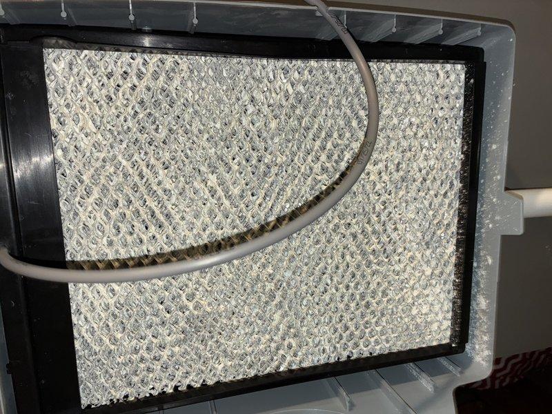 Completed comprehensive heating maintenance on a 4-year-old gas furnace as part of MVP program renewal. Performed full system inspection including filter examination, verified proper airflow through air handler unit, and conducted standard preventive maintenance procedures. All components found operating within normal parameters with filter showing adequate condition for continued service.