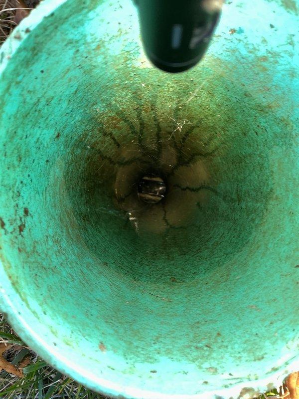 Responded to main drain backup issue at residential property. Upon arrival, performed camera inspection of main sewer line, revealing significant buildup and staining within the drain system. Inspected utility sink plumbing connections and floor drain assembly in basement area. Successfully cleared the clogged main drain line, restoring proper drainage function throughout the system.