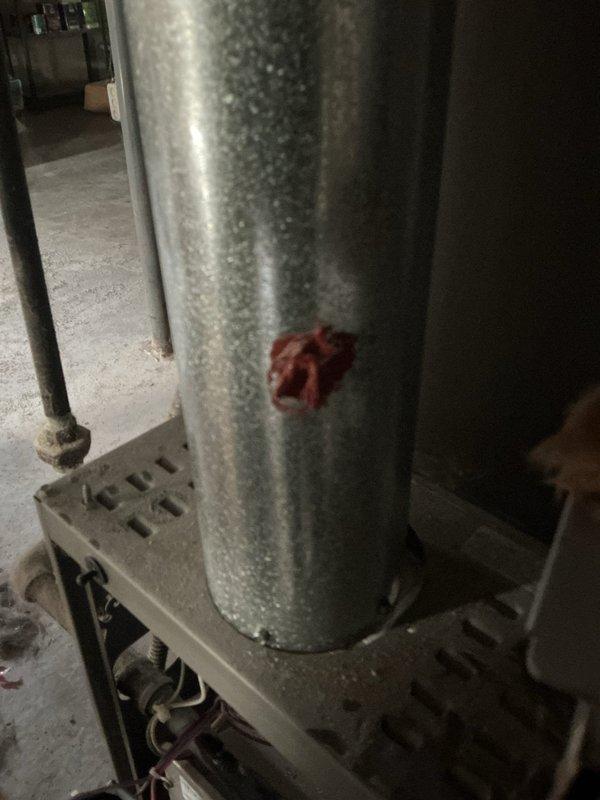 Responded to no heat call on 6-year-old Lennox gas furnace that had received heating maintenance approximately 10 days prior with all checks within normal range. Upon arrival, discovered beetle had entered the furnace control area and was causing intermittent electrical contact issues preventing ignition sequence. Removed insect from control board area, inspected all electrical connections and flame sensor, verified proper operation through multiple heating cycles. System restored to full operation with normal ignition and heating function confirmed.