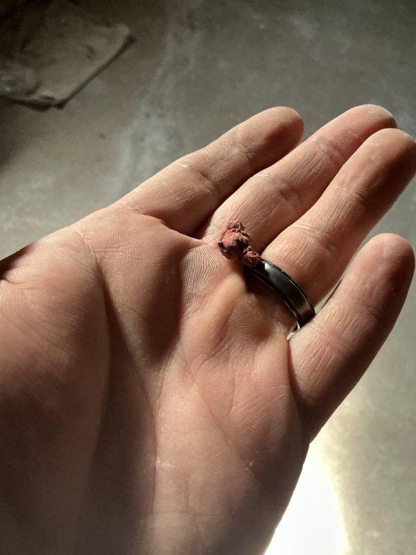 Responded to no heat call on 6-year-old Lennox gas furnace that had received heating maintenance approximately 10 days prior with all checks within normal range. Upon arrival, discovered beetle had entered the furnace control area and was causing intermittent electrical contact issues preventing ignition sequence. Removed insect from control board area, inspected all electrical connections and flame sensor, verified proper operation through multiple heating cycles. System restored to full operation with normal ignition and heating function confirmed.