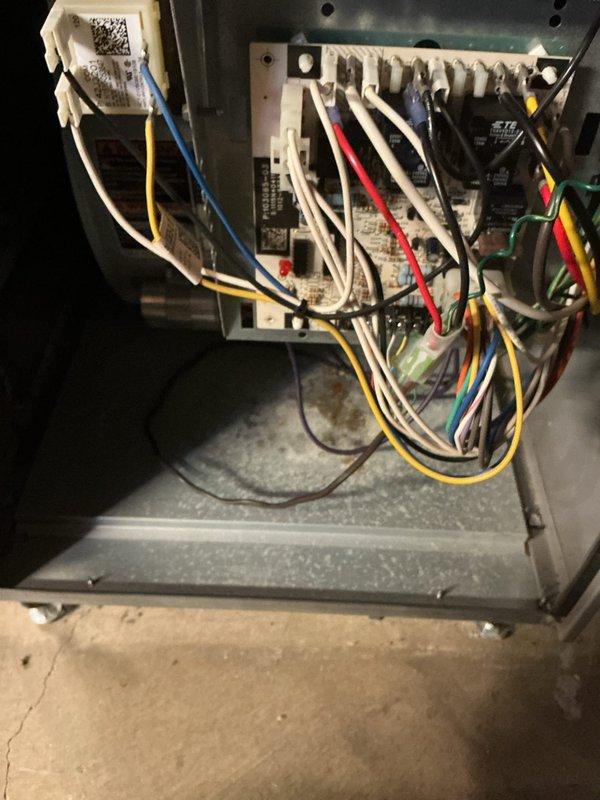 Performed annual maintenance on 11-year-old gas furnace. Inspected blower assembly and wiring connections at terminal block, confirming all electrical connections were secure. Observed dust accumulation on squirrel cage blower wheel; cleaned blower components to restore optimal airflow efficiency. Verified blower motor operation and checked all visible system components for proper function. Unit operating within normal parameters upon completion.