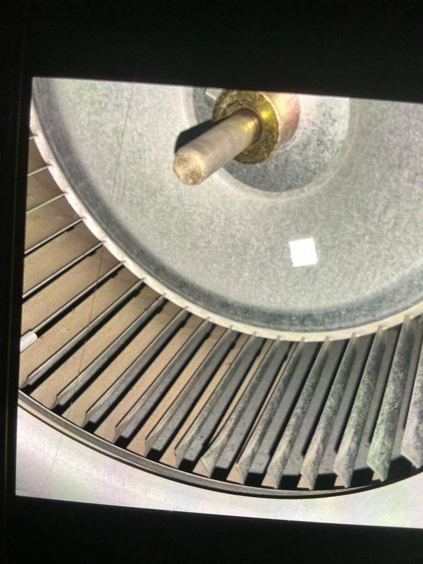 Performed annual maintenance on 11-year-old gas furnace. Inspected blower assembly and wiring connections at terminal block, confirming all electrical connections were secure. Observed dust accumulation on squirrel cage blower wheel; cleaned blower components to restore optimal airflow efficiency. Verified blower motor operation and checked all visible system components for proper function. Unit operating within normal parameters upon completion.