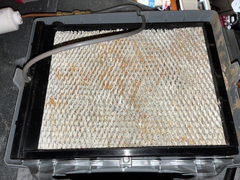 Performed seasonal heating maintenance on a 5-year-old system, including inspection and cleaning of the blower wheel to remove accumulated dust and debris for improved airflow and motor efficiency. Inspected the humidifier water panel and found heavy mineral and rust scaling, which reduces humidification performance, and recommended panel replacement and routine cleaning of the housing.