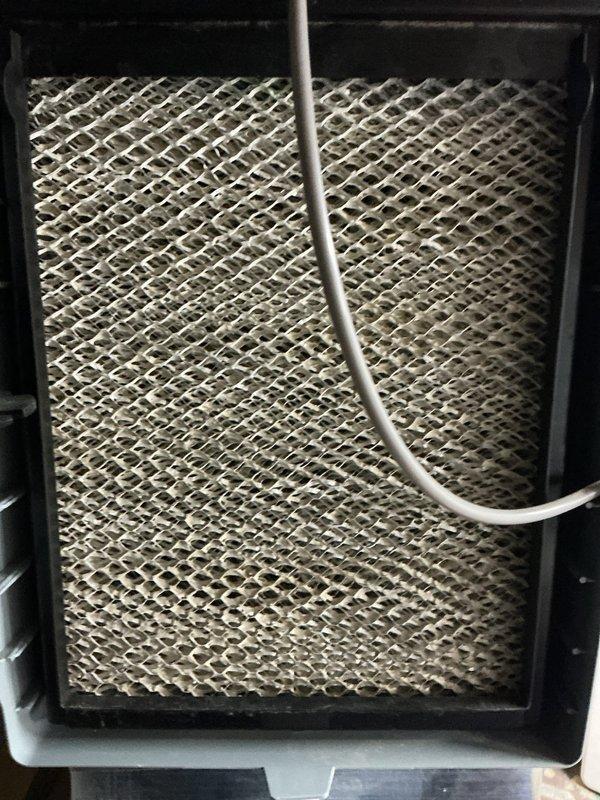 Performed scheduled heating maintenance, inspecting the system's filter media and blower assembly and documenting their condition. Observed dust and lint accumulation on the filter mesh and across the blower wheel blades and housing, which can restrict airflow and reduce heating efficiency. Verified the blower wheel, motor shaft, and hub were intact and in serviceable condition.