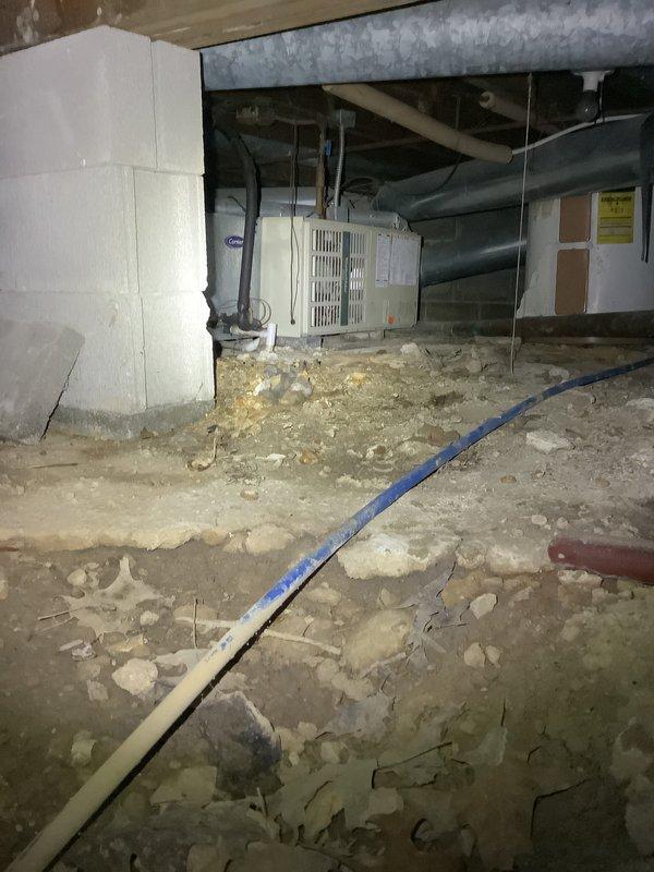 Performed an on-site evaluation for replacement of a 31-year-old gas furnace located in a crawl space, with access through an exterior hatch. Inspected the existing equipment, ductwork, and surrounding crawl space conditions, documented the installation area with photos, and prepared a replacement estimate for a new 89% AFUE gas furnace, which was confirmed with the customer.
