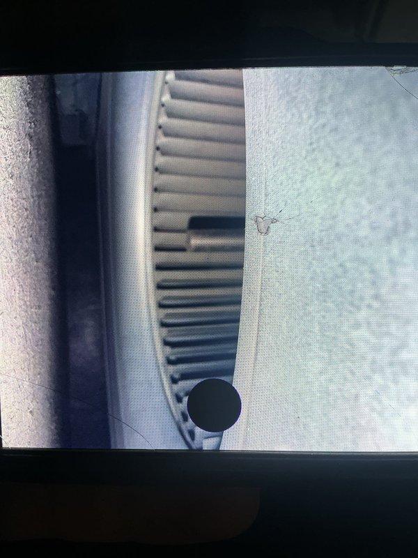 Performed annual furnace maintenance, including inspection of the blower wheel and housing using a borescope and servicing of the flame sensor. Verified control board connections and wiring, and confirmed the condensate PVC drain piping was properly routed and in good condition. Unit was left operating normally.