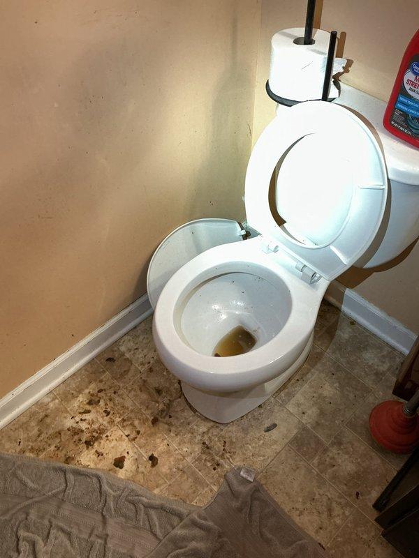 Responded to a backed-up, overflowing basement bathroom toilet and cleared the main blockage using drain-clearing equipment, restoring proper flow through the toilet and connected drain line. Flushed the line to confirm full drainage, then cleaned and sanitized the affected floor area around the fixture. Residual staining at the shower drain and pan was noted as mineral and rust buildup, and the system was verified free-flowing with no remaining backup.
