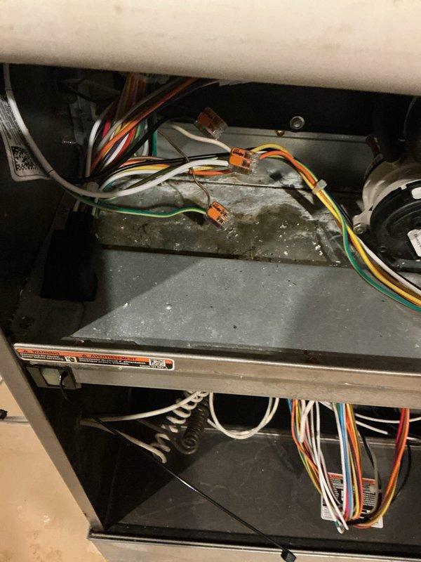 Responded to a no-heat call on a 6-year-old gas furnace and performed a second-opinion inspection following a prior contractor's replacement recommendation. Inspection of the cabinet revealed dust and residue buildup on the internal shelf and significant rust and corrosion on the base panel around the condensate drain reservoir and hose connection, indicating moisture/leakage concerns. Findings were documented with photos, and a return visit by a senior technician was scheduled to complete full diagnostics, with replacement options (Bryant) to be discussed following the diagnosis.