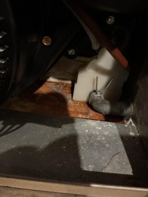 Responded to a no-heat call on a 6-year-old gas furnace and performed a second-opinion inspection following a prior contractor's replacement recommendation. Inspection of the cabinet revealed dust and residue buildup on the internal shelf and significant rust and corrosion on the base panel around the condensate drain reservoir and hose connection, indicating moisture/leakage concerns. Findings were documented with photos, and a return visit by a senior technician was scheduled to complete full diagnostics, with replacement options (Bryant) to be discussed following the diagnosis.