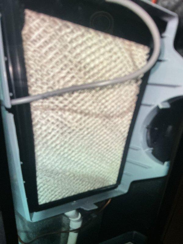 Performed annual MVP furnace maintenance, including inspection of the Aprilaire whole-home humidifier. Evaluated the evaporator pad, which showed discoloration consistent with mineral buildup, and verified the water supply fitting, drain line, and electrical connections were secure with no signs of leaks, rust, or damage. Unit is operating normally.