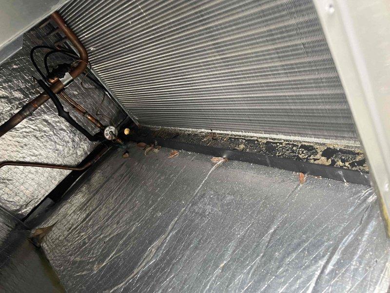 Completed regular filter replacement for customer on 65w unit. During service, noted significant dirt/debris buildup along evaporator coil base and inspected outdoor condensing unit. Recommended full maintenance service to address coil contamination and optimize system performance, though this was not performed during this visit.