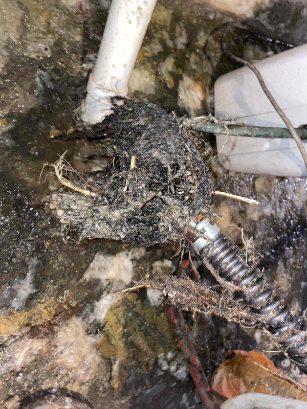 Responded to service call for backed-up sewer line reported by homeowner Kathleen Hussey. Inspection revealed significant water damage in basement with standing water on concrete floor. Located severely clogged main drain connection with substantial buildup of debris, hair, and organic material around pipe fittings, which was restricting proper water flow. Successfully cleared blockage to restore proper drainage function.