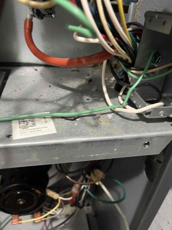 Responded to no heat service call for a unit less than 10 years old. Diagnosed faulty blower motor causing system failure. Replaced 65W motor assembly and verified proper system operation through testing of all electrical connections and temperature sensors.