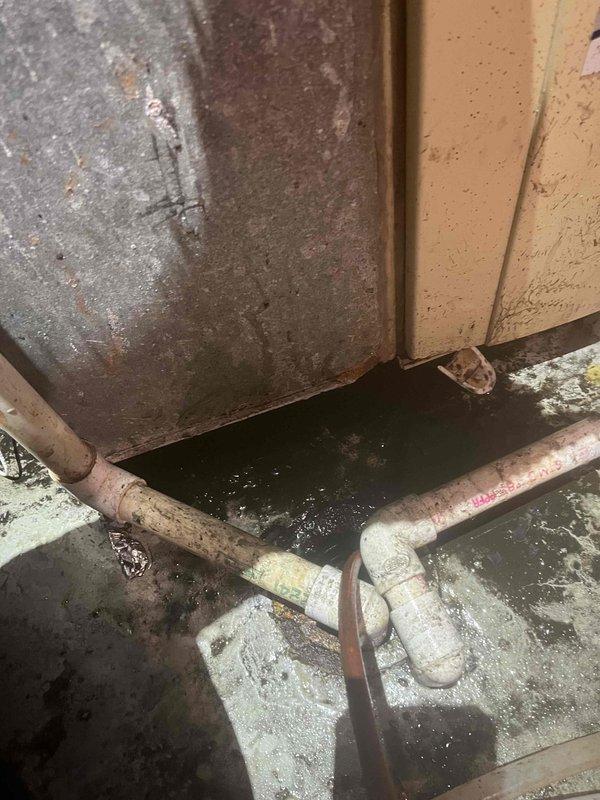Responded to flooding in basement caused by severely clogged drain line. Cleared obstruction using professional drain cleaning equipment and verified proper water flow. Inspected water filtration system for potential contributing factors and confirmed normal operation after service completion.