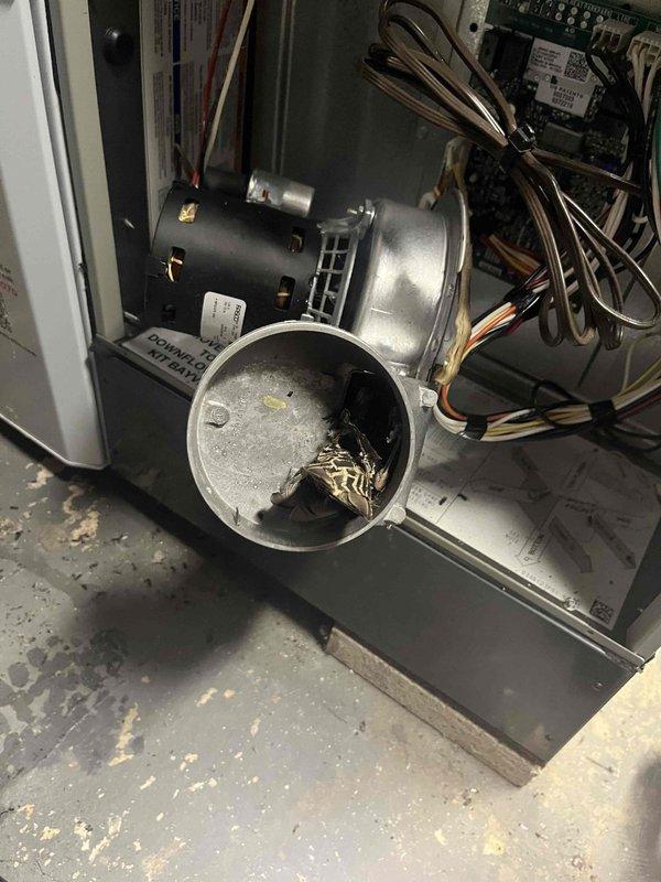 Responded to no heat complaint on a recently installed gas furnace (Feb 2024) where thermostat was set at 70°F but reading 60°F. Inspection revealed debris in the draft inducer motor assembly which was causing operational issues. Cleaned inducer motor, verified proper ignition sequence, and restored normal heating function. System now maintaining proper temperature.