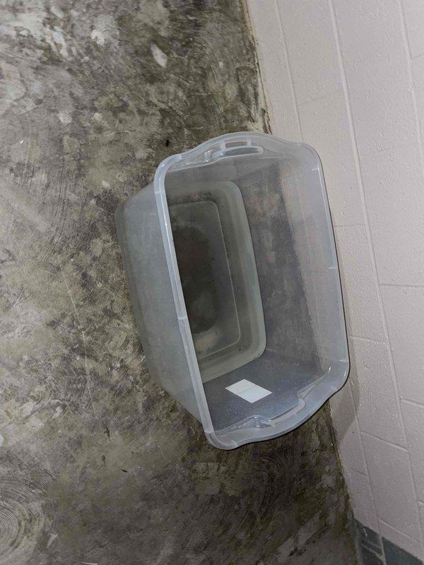 Responded to recurring toilet leak issue affecting basement area. Diagnosed clog in main cleanout of cast iron drain pipe system. Cleared obstruction and inspected T-junction connections for proper function. Noted water damage on basement wall requiring monitoring for potential mold development.