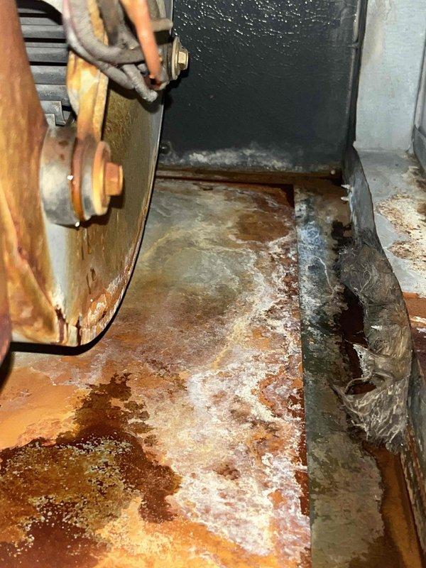 Inspected furnace system exhibiting loud humming noise from blower fan. Observed extensive rust, water damage, and corrosion on motor assembly and surrounding components. Documented severe oxidation on metal surfaces with standing moisture present, indicating prolonged exposure to water and potential imminent failure of blower motor in this 2008 unit.