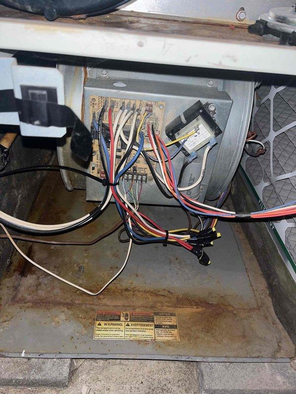 Diagnosed 25-year-old furnace with ignition sequence issue where flame ignites but blower motor fails to activate. Inspection of control board revealed corrosion damage on lower components and deteriorating heat exchanger tubes, indicating end-of-life system failure. Recommended replacement due to age and condition of critical components.