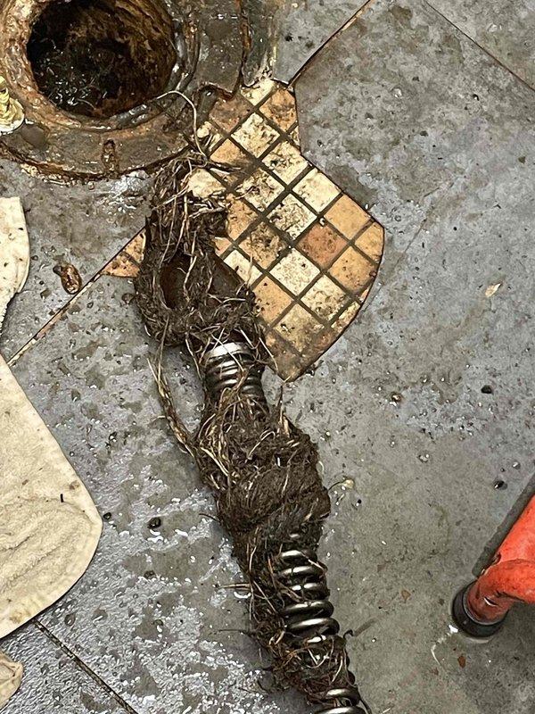 Responded to service call for toilet issue where customer had previously attempted DIY wax ring replacement. Upon inspection, found severe drain pipe corrosion with significant root intrusion. Successfully cleared blockage using auger cable, removing extensive root mass that had penetrated the drainage system.