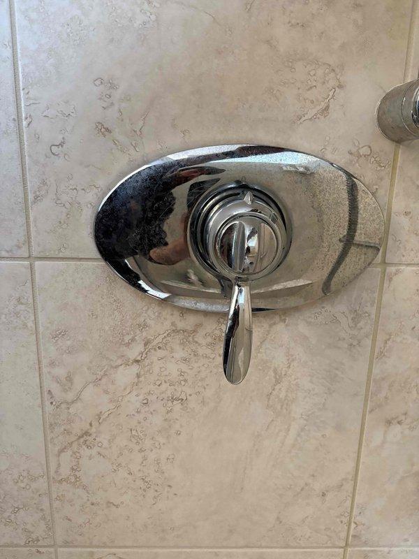 Responded to callback service request for persistent shower head leakage originally serviced by technician Bruno. Inspected chrome shower valve assembly and handle mechanism on tiled wall. Found mineral deposits causing improper sealing. Cleaned valve components and replaced deteriorated internal seals to resolve the continuous dripping issue.