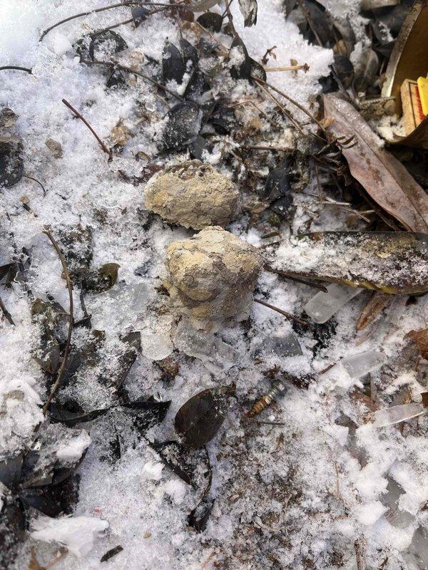 Responded to callback for non-functioning furnace. Inspection revealed significant ice buildup in condensate drain pipe, causing system blockage. Cleared frozen condensate line and restored proper drainage, allowing furnace to resume normal operation.