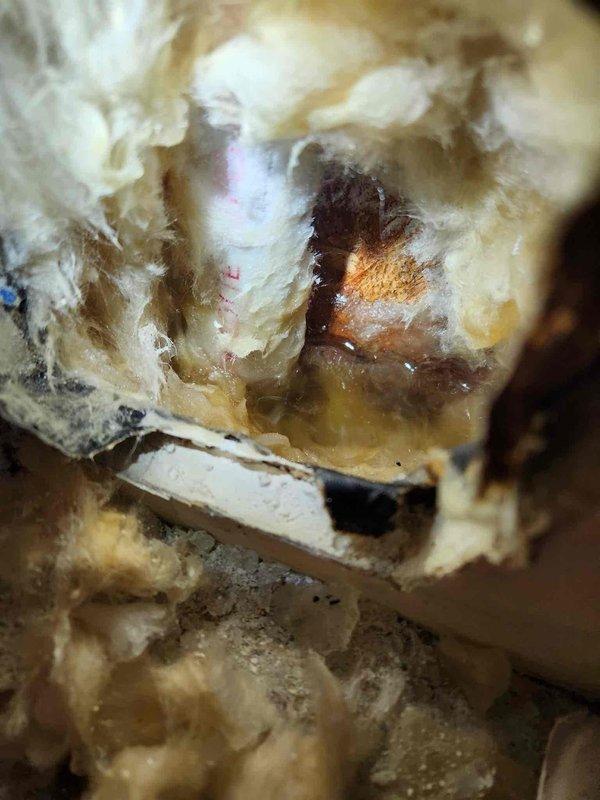 Performed inspection of water-damaged ceiling area where apparent leak has compromised insulation integrity. Documented extensive moisture infiltration with visible discoloration in fiberglass insulation and created access opening in ceiling to evaluate extent of damage. Temporary containment measures implemented with collection receptacle positioned beneath affected area pending further remediation.