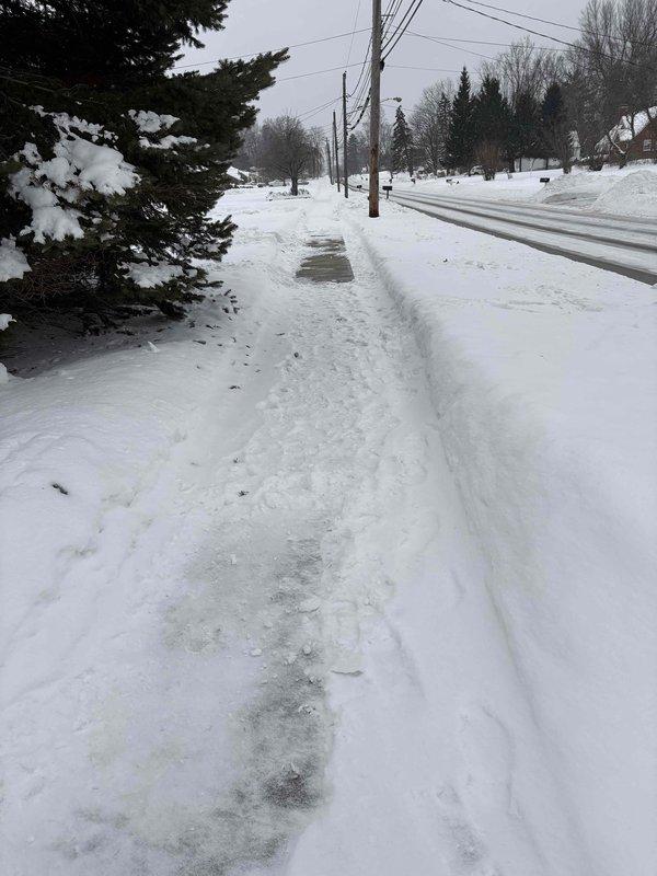 Responded to service call for frozen pipes previously identified by another plumber. Inspected water meter assembly and associated copper supply lines mounted on concrete block wall. Weather conditions with significant snowfall confirmed environmental factors contributing to pipe freezing issue.