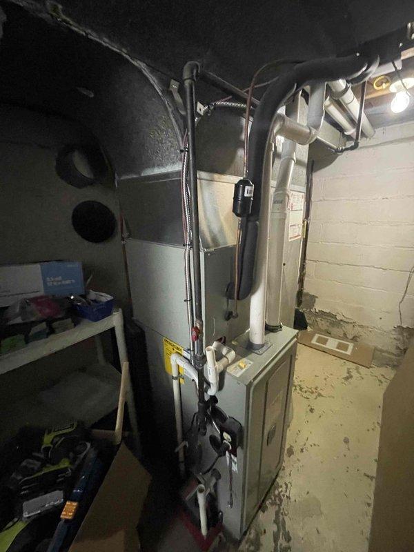 Diagnosed high-pitch whine in furnace system; removed and inspected flame sensor which showed signs of corrosion. Cleaned sensor assembly with emery cloth, reinstalled component, and tested system operation. Furnace now functioning without abnormal noise.