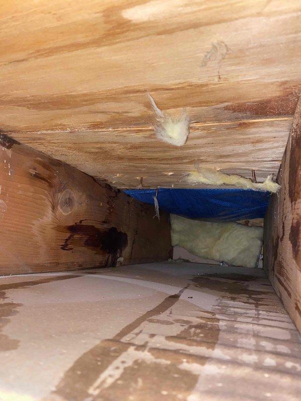Responded to a water leak complaint affecting kitchen ceiling. Upon inspection of the crawl space above the kitchen, identified water damage and staining on wooden structural members. Located the source of the leak, repaired damaged section of plumbing, and secured surrounding insulation and vapor barrier to prevent future moisture issues.