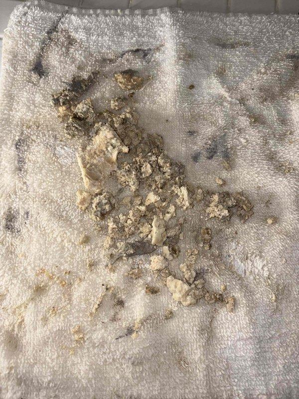 Responded to service call for clogged tub and shower drains. Investigated potential frozen line concern. Removed and cleared substantial mineral buildup and debris from drain assembly, collecting residual material for proper disposal. Both drains now functioning properly with improved water flow.